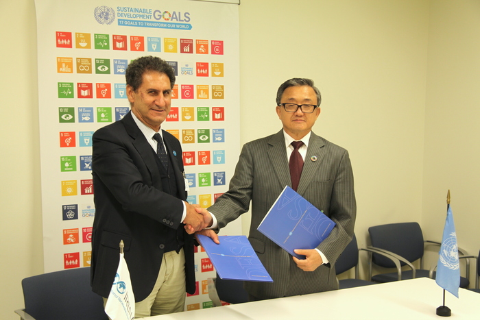 UN DESA and IRENA enhance partnership to move forward sustainable energy agenda