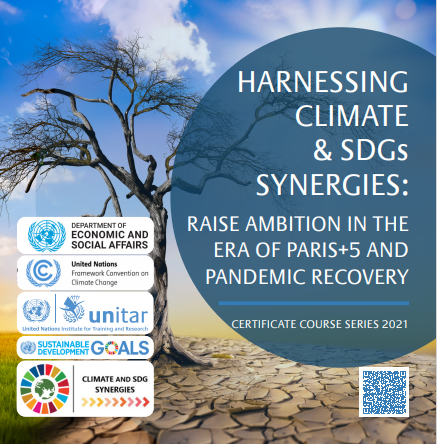 Harnessing Climate And SDGs Synergies | Department Of Economic And ...