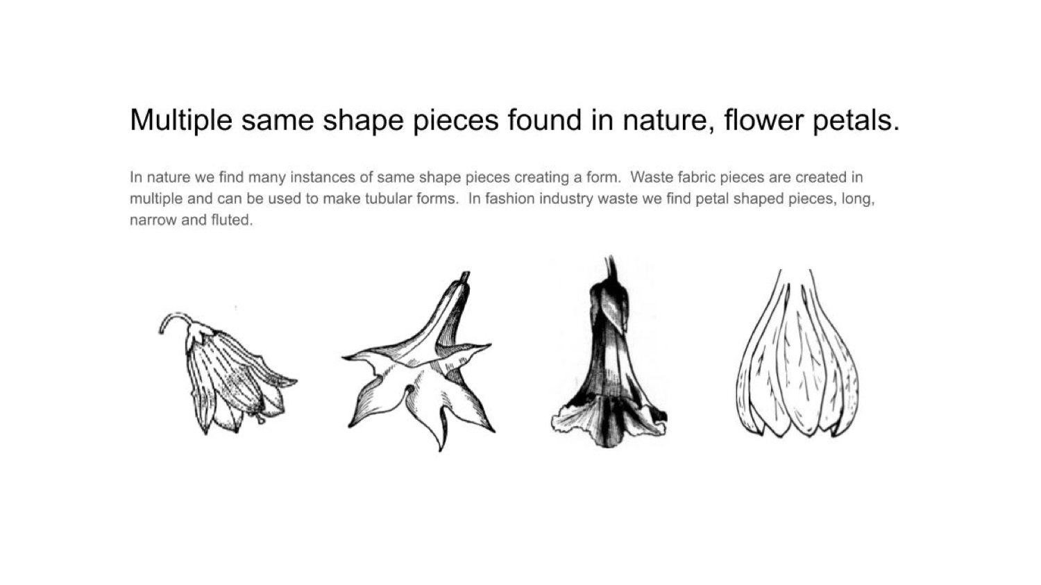 As you can see in the illustration nature also uses radial projection to create cylindrical objects.