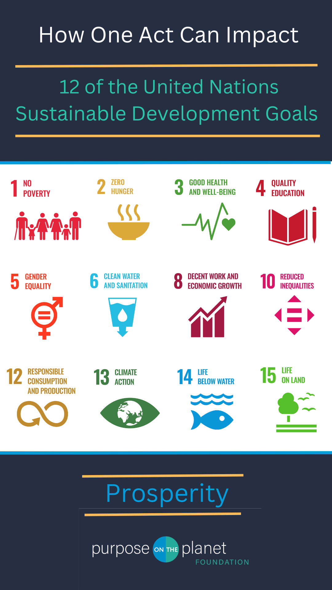 Impact 12 of the UN Sustainable Development Goals - Purpose on the Planet Foundation