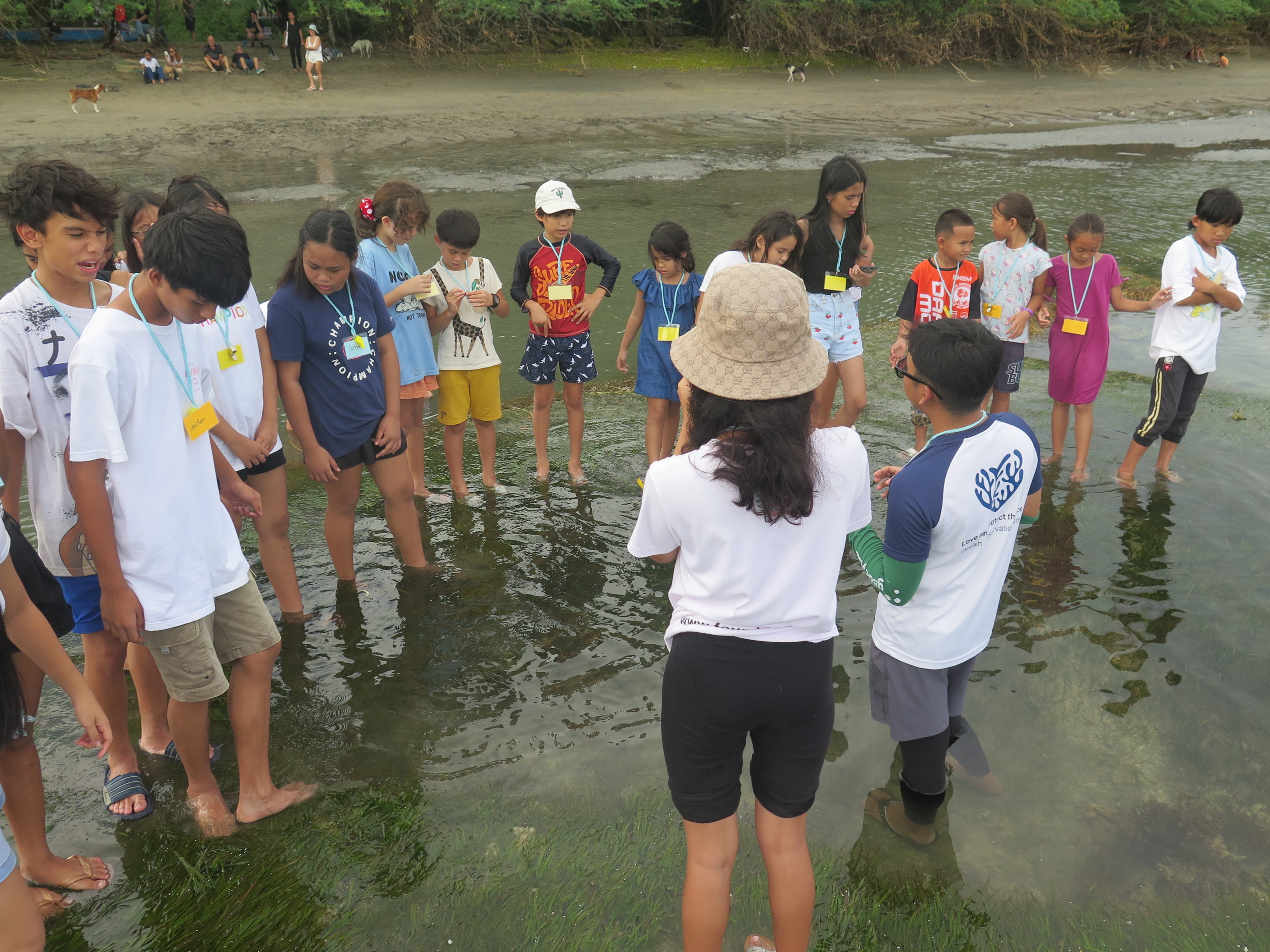 Youth ocean conservation camps