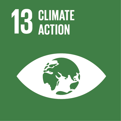UN SDG Goal 13