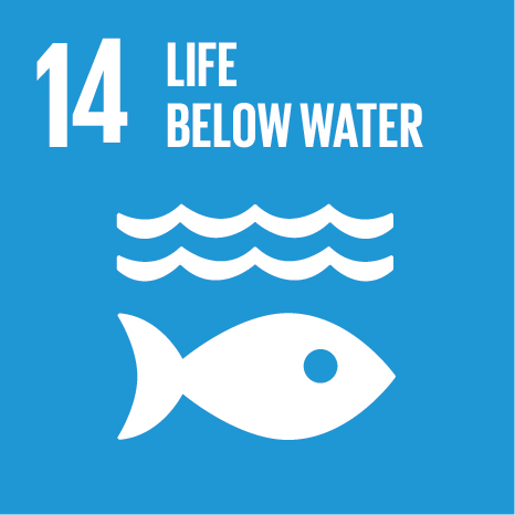 Learn more about this UN Sustainable Development Goal