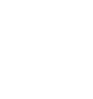 tourism related economic strategies