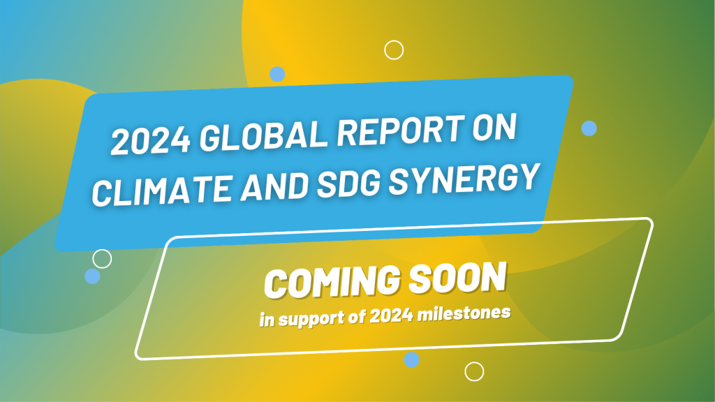 2024 Synergy Report