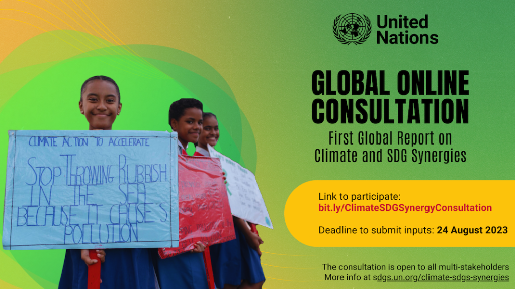 global consultation