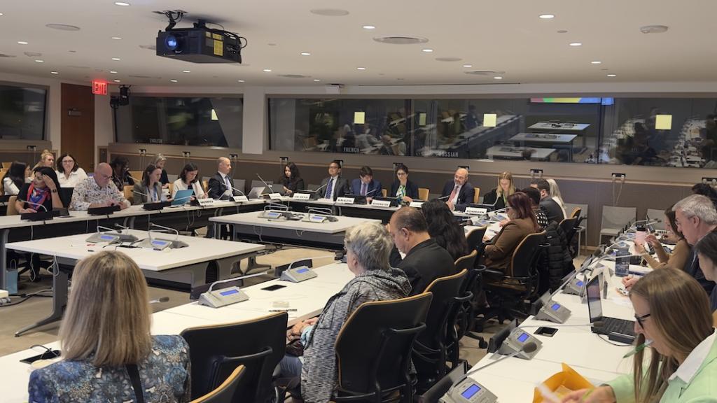 Side event SDG Action Weekend