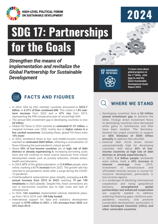 SDG 17 Factsheet 2024