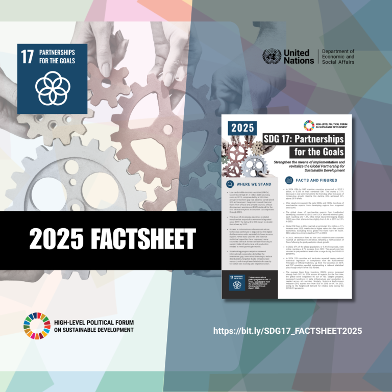 2025 FACTSHEET ON SDG 17
