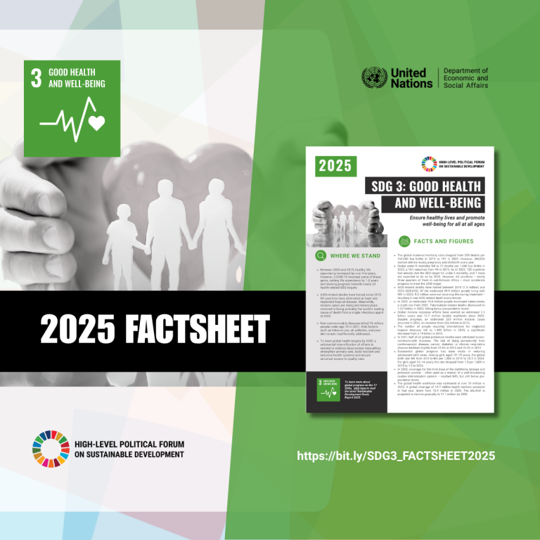 2025 FACTSHEET ON SDG 3