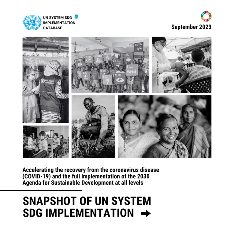 2023 Summary Report on UN system responses from the 2022 questionnaire on the 2023 ECOSOC & HLPF Theme 