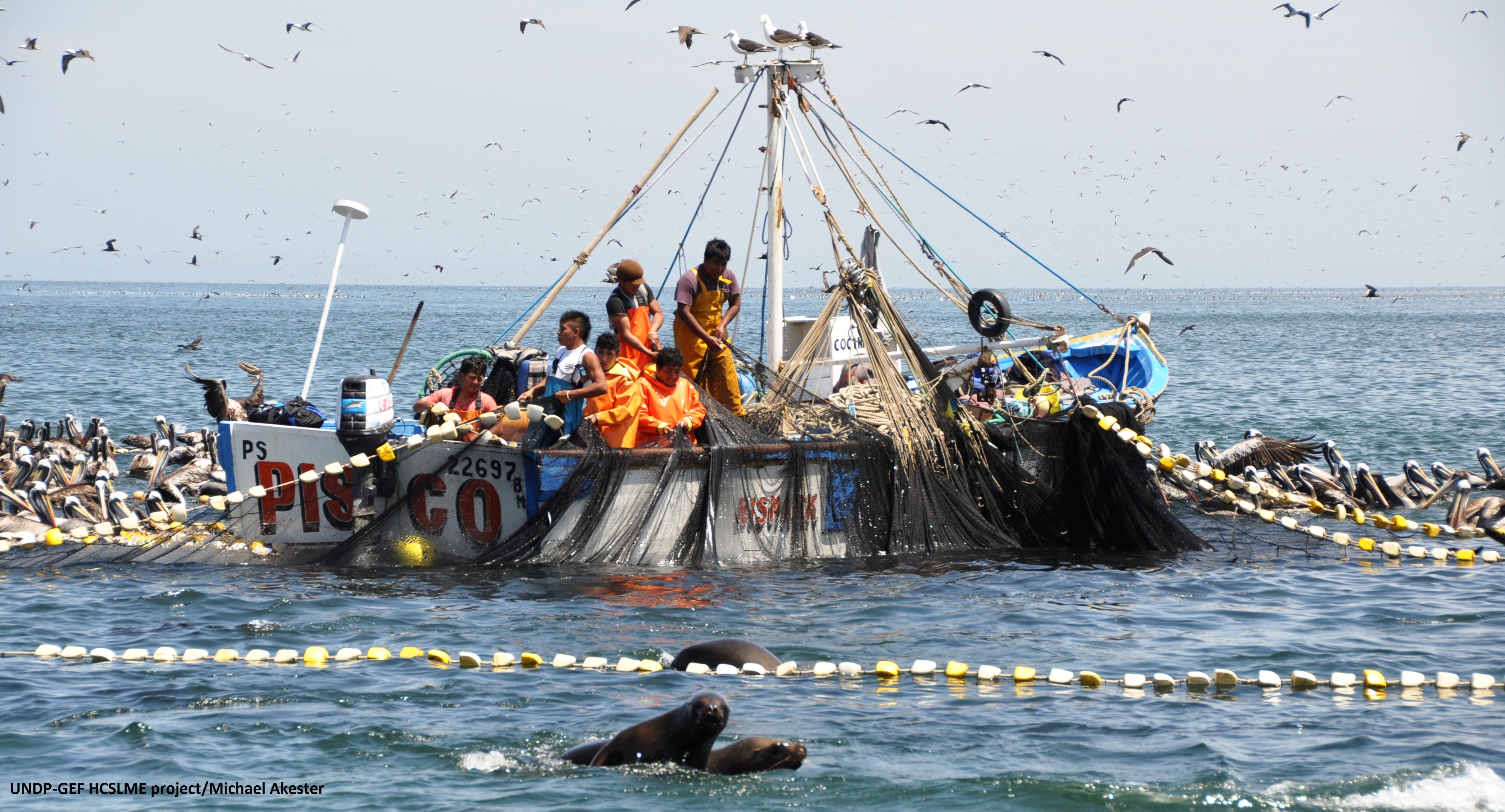 Ecosystem based fisheries management and ecosystem restoration in the Humboldt Current System