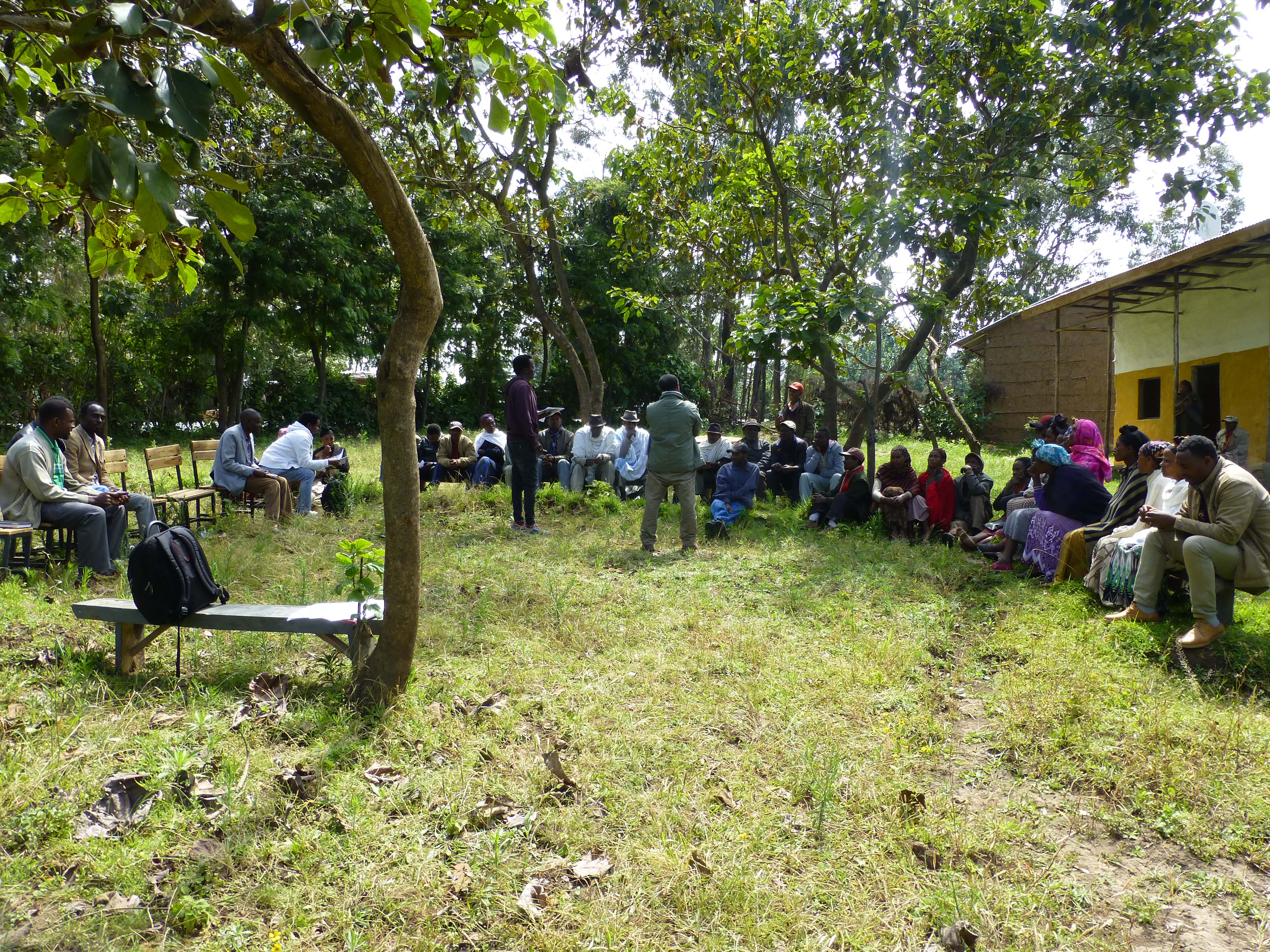 Community conversations: a tool to improve livestock production and gender equality