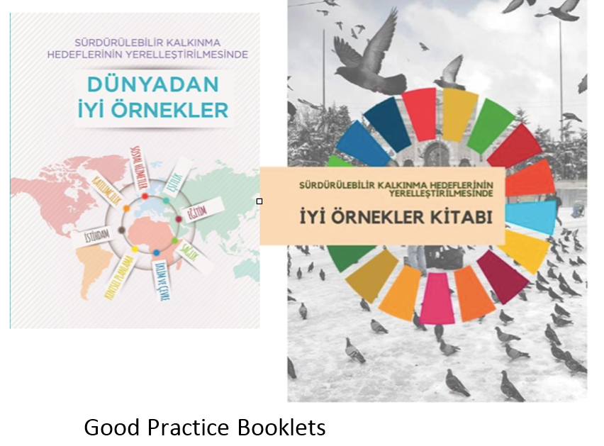 YERELİZ Yerel için Yerelden Cözümler  -   Local Solutıons for Local Governments