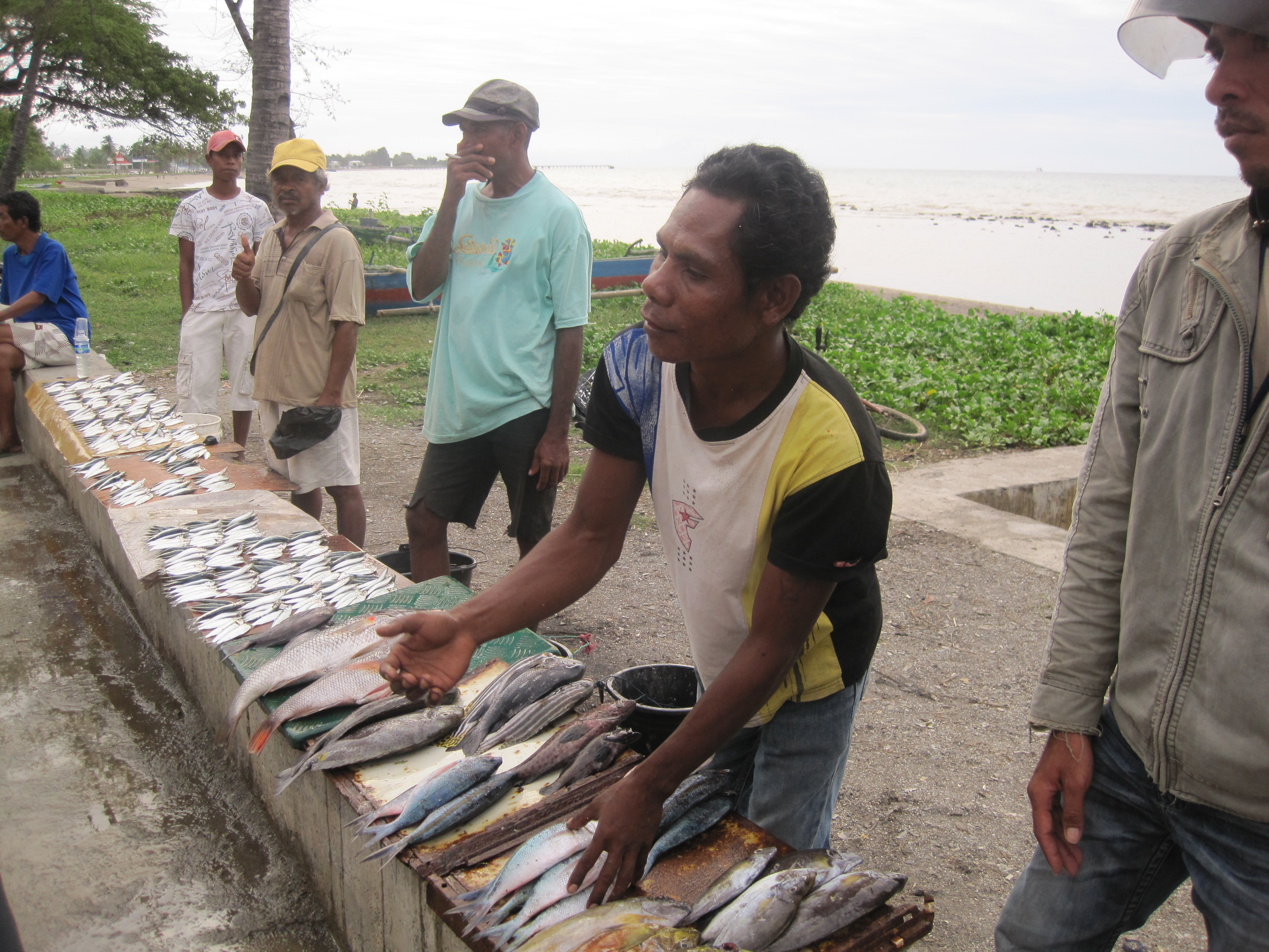 Implementation of the Arafura and Timor Seas Regional and National Strategic Action Programs