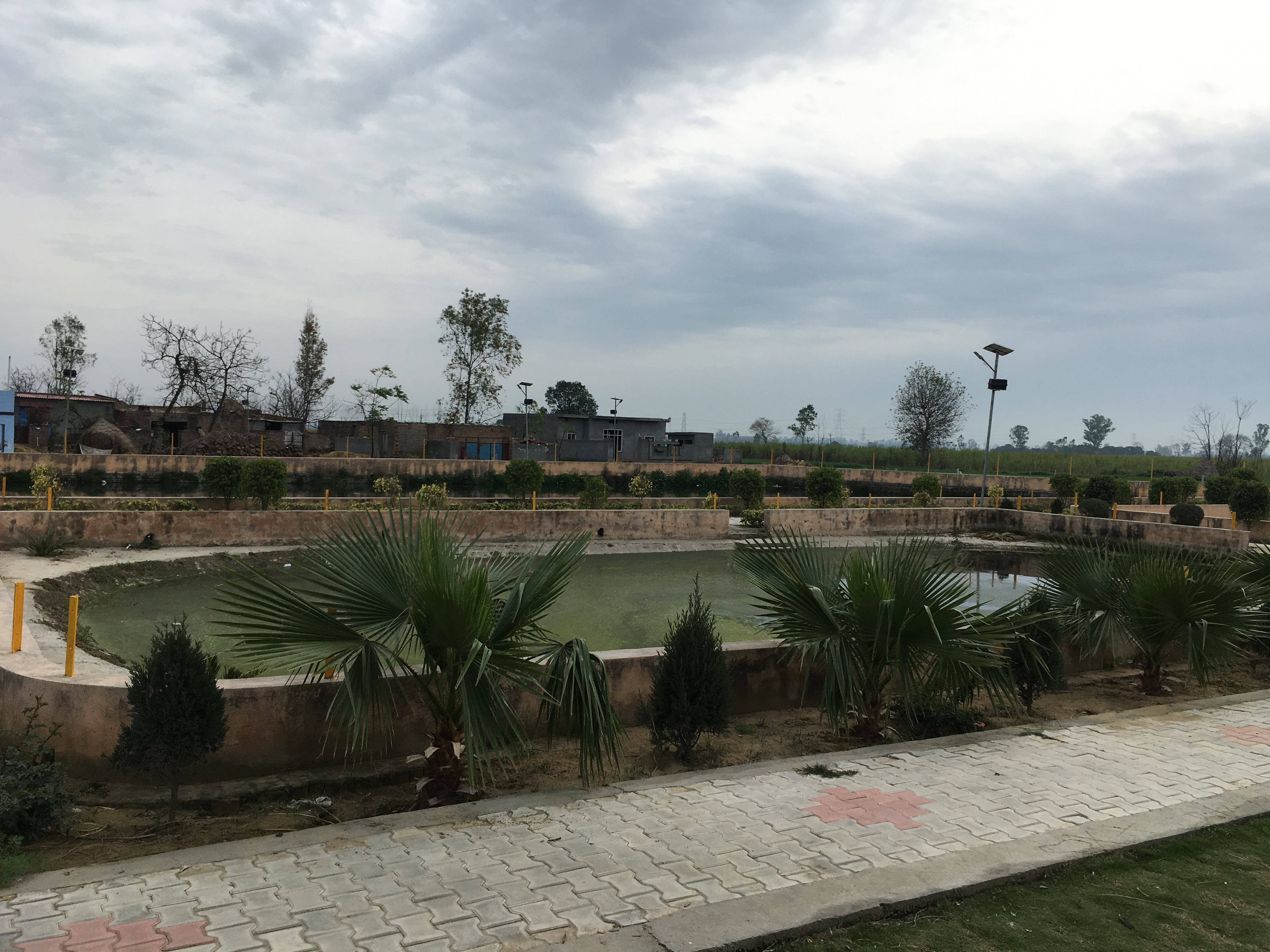 Waste Water Governance : Dream becomes reality - A case study of Baindi village of District Yamunanagar, Haryana