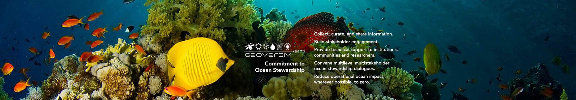 The Geoversiv Commitment to Ocean Stewardship: Living Future Strategies for Ocean Neutrality