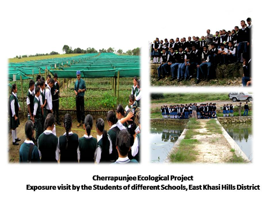 The Integrated Basin Development and Livelihood Promotion (IBDLP) in the state of Meghalaya envisaged rejuvenating the local water capacity and empowering entrepreneurial capacity.