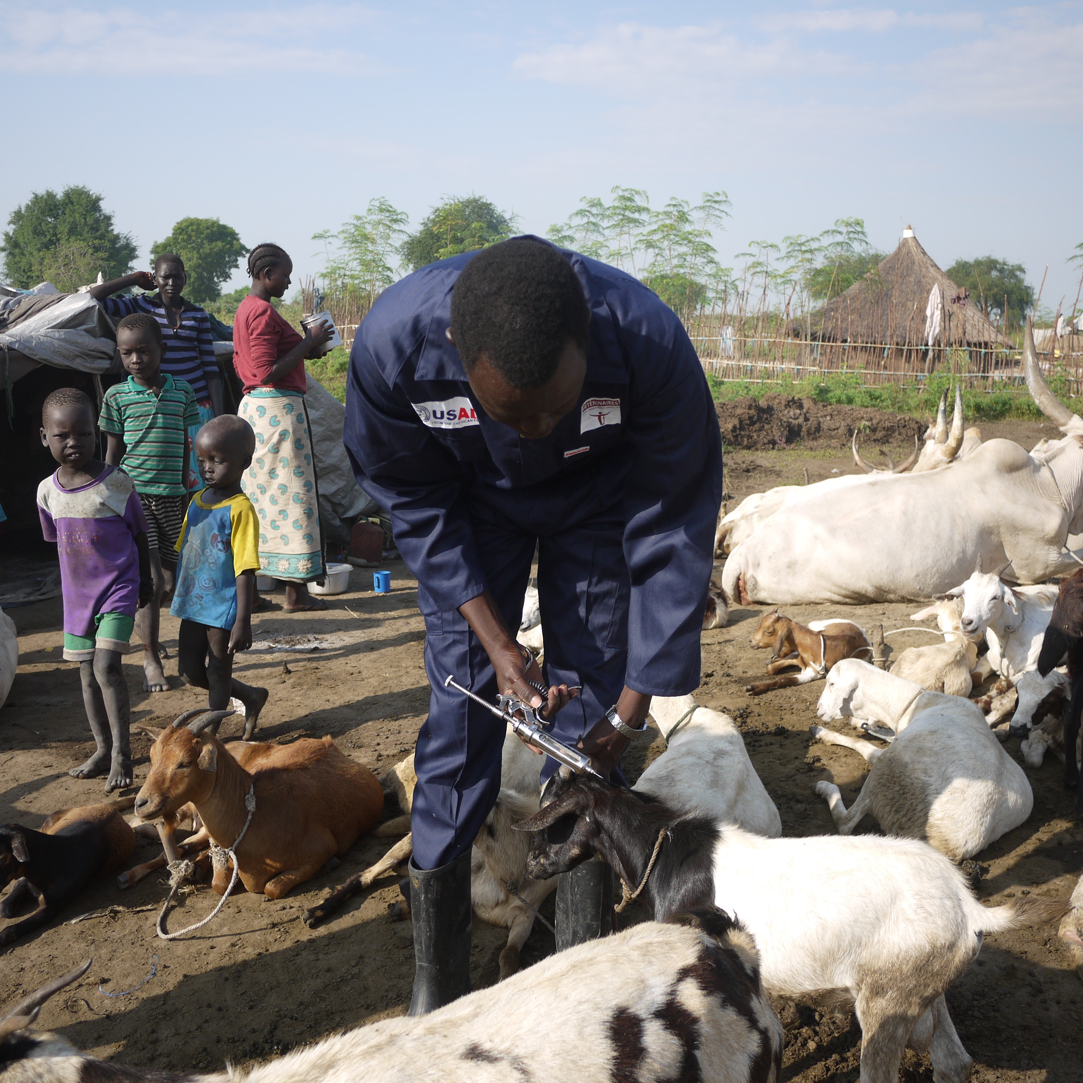 Community-Based Animal Health Workers (CAHWs): Guardians for quality,  localized animal health services in hard to reach livestock production  systems. | Department of Economic and Social Affairs