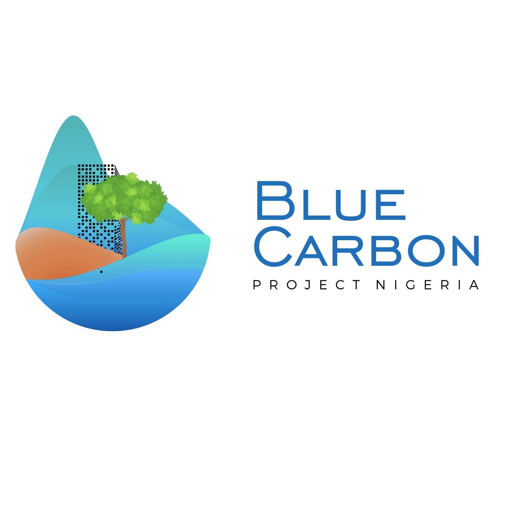 Assessing the Carbon Potential of Mangrove Forests in Nigeria