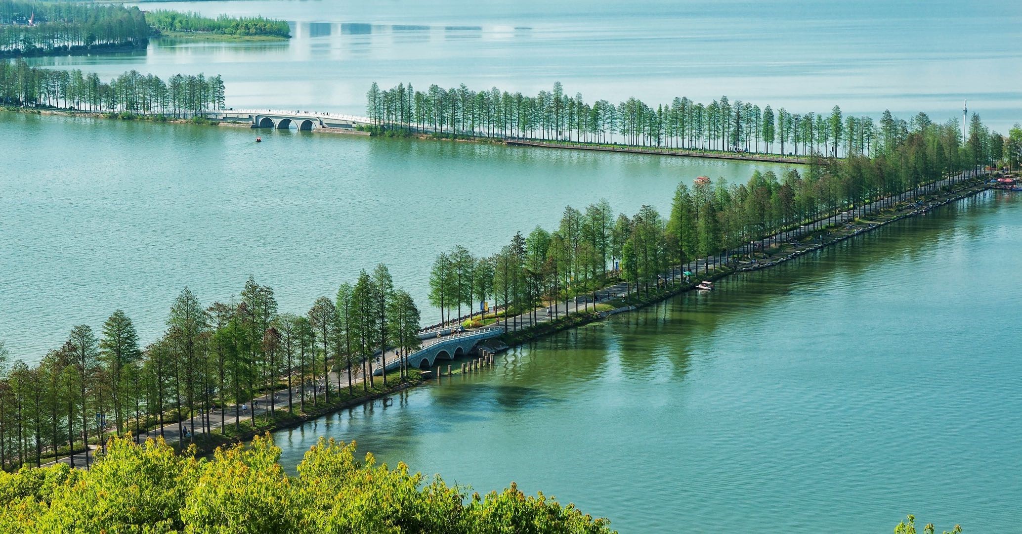 Building Green Spaces Fairly Accessible to All Social Groups - The Practice of Planning Green Spaces in Wuhan Building Green Spaces Fairly Accessible to All Social Groups - The Practice of Planning Green Spaces in Wuhan