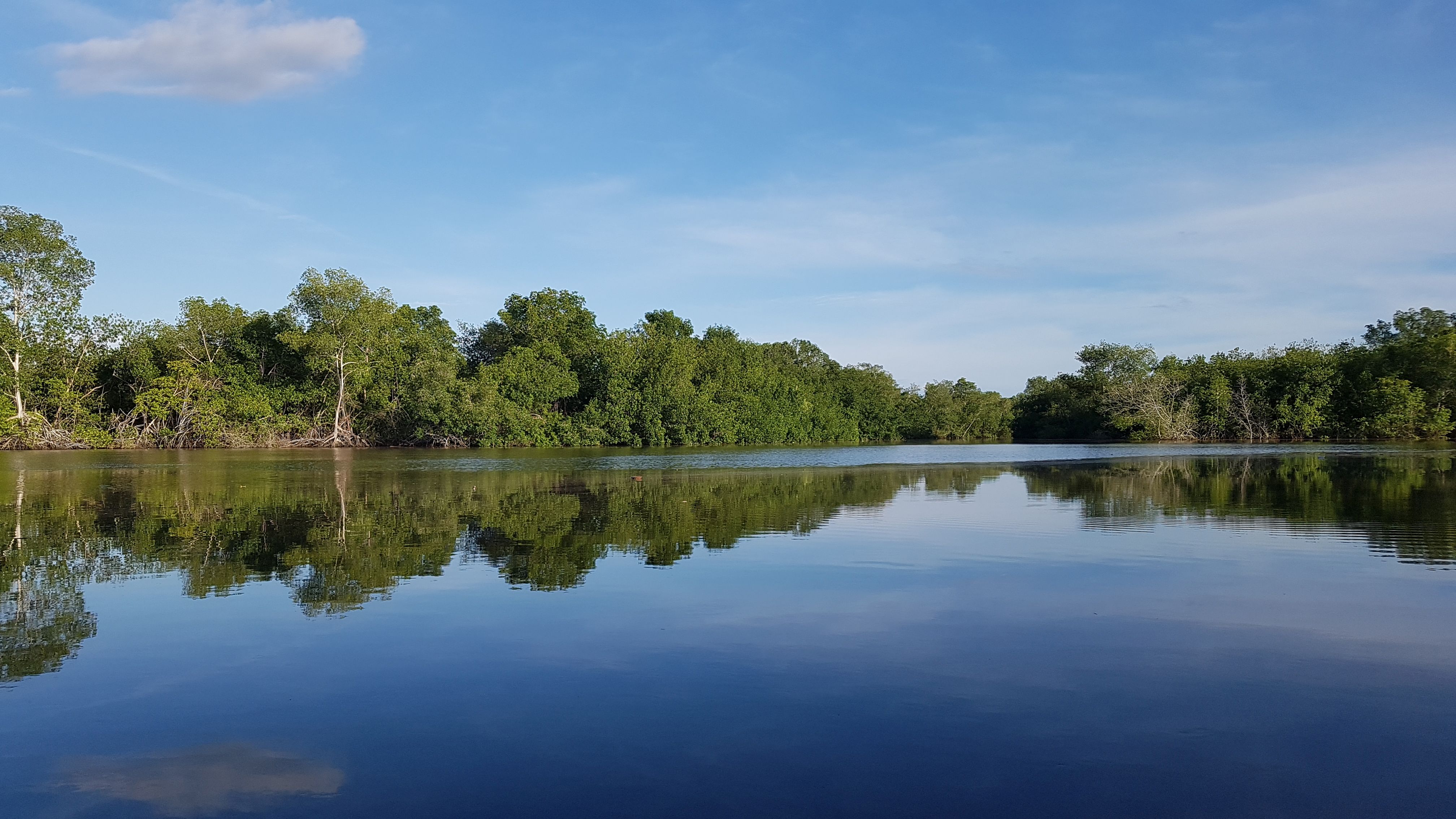 Enhance the Conservation of Coastline Seascape of the Jaltepeque estuary through community-based approach