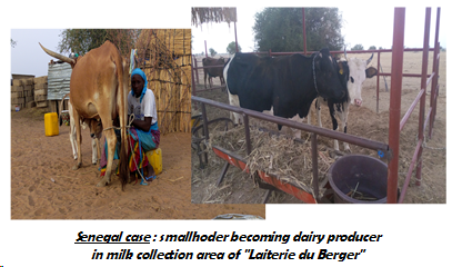 Impact of milk collection in Pastoral Rangelands in the Sahel (Laiterie du Berger)