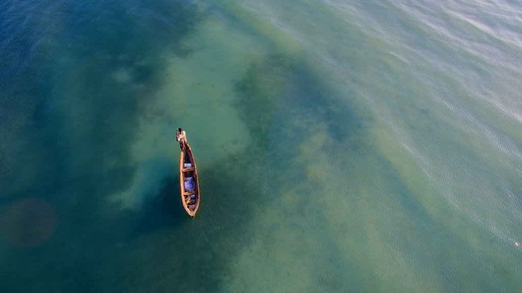 Blue Planning in Practice: Worldwide MSP training offer to enable ecosystem-based marine and coastal planning and management