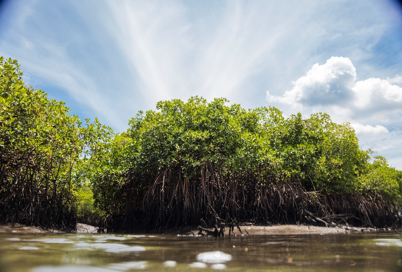 Improved Coastal Watersheds and Livelihoods project 