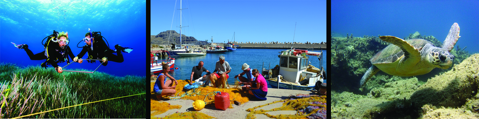 Establishment of a Marine Protected Area (MPA) at the coastline of Plakias, Crete