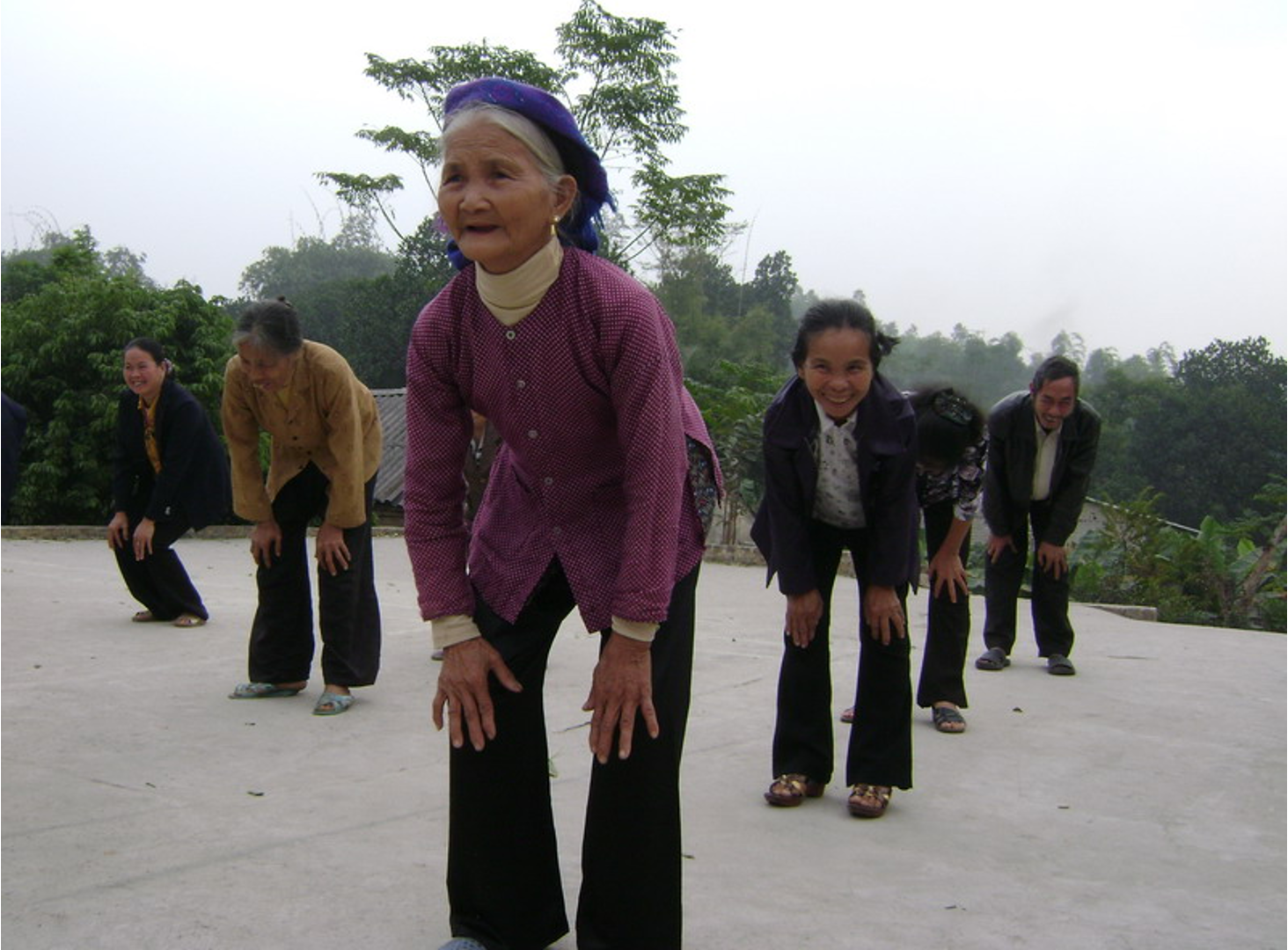 Promoting Inclusive Sustainable Development to Improve the Well-being of Disadvantaged Groups in Vietnam