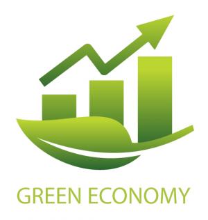 Green economy policies, practices and initiatives 