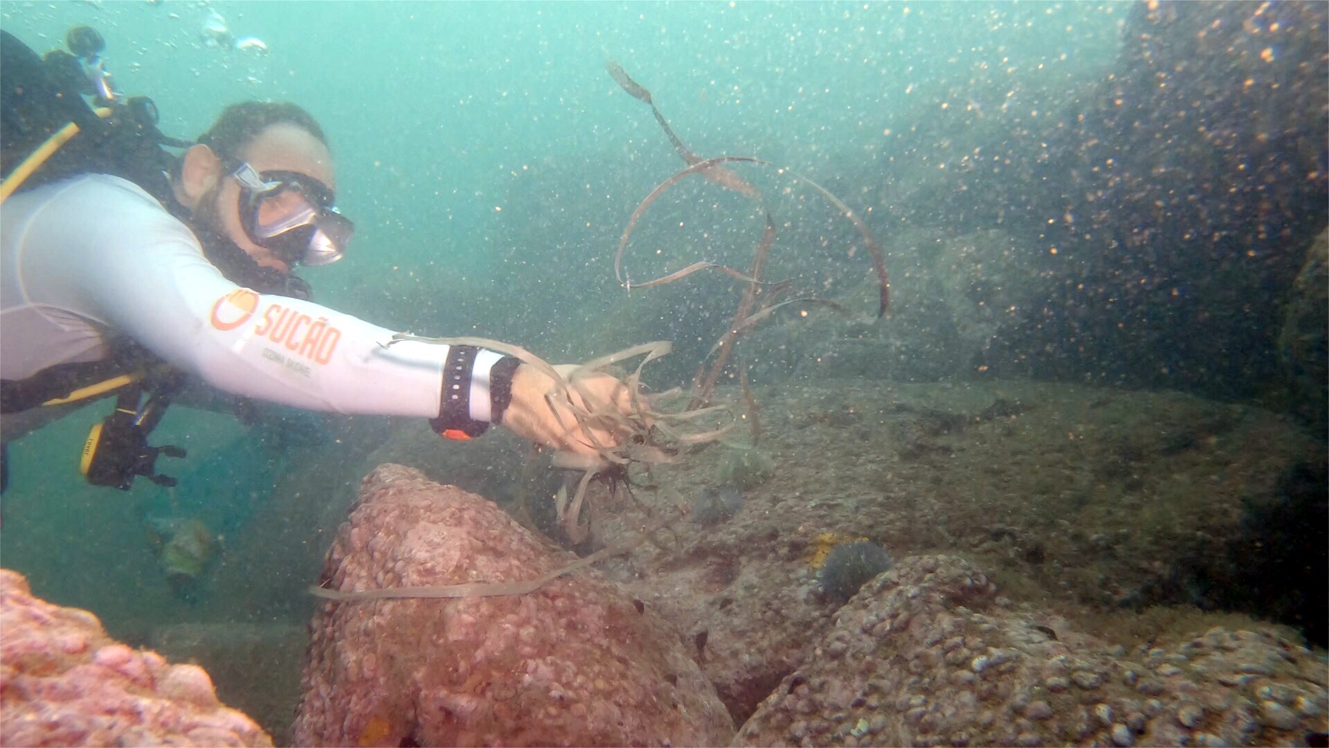 Projeto Verde Mar de limpeza subaqutica (Verde Mar Project - Diving against Marine Debris)