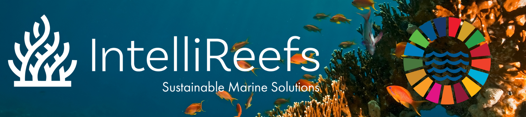 Reef Life Foundation IntelliReefs Biomimicking Coral Habitats