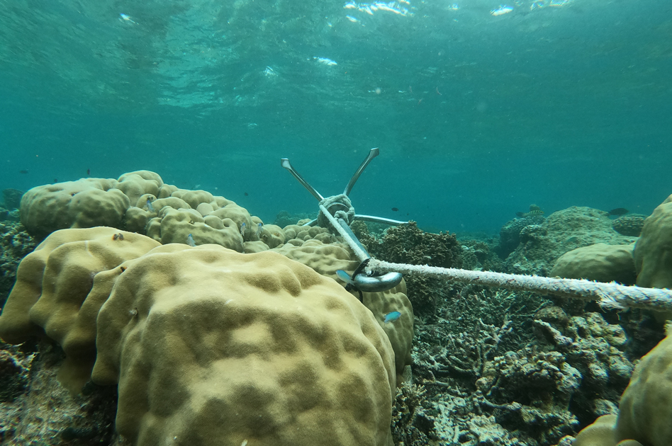 ocean commitment banner