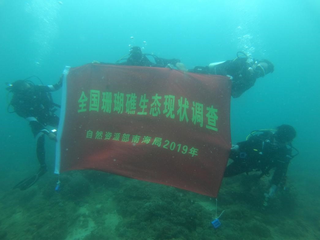 ocean commitment banner
