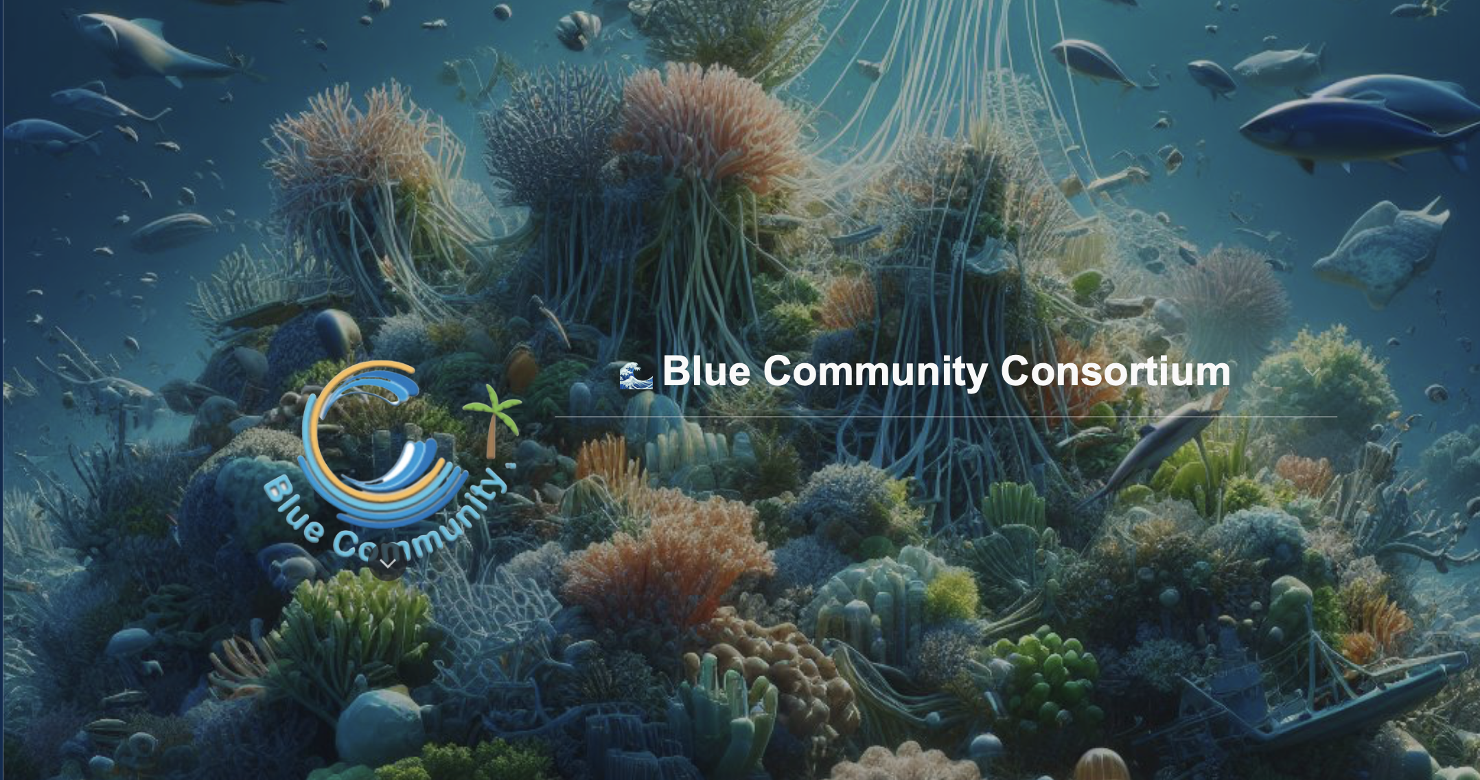 ocean commitment banner