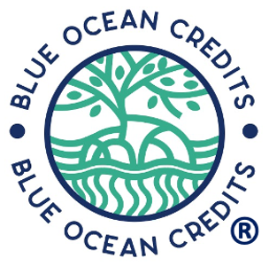 ocean commitment banner