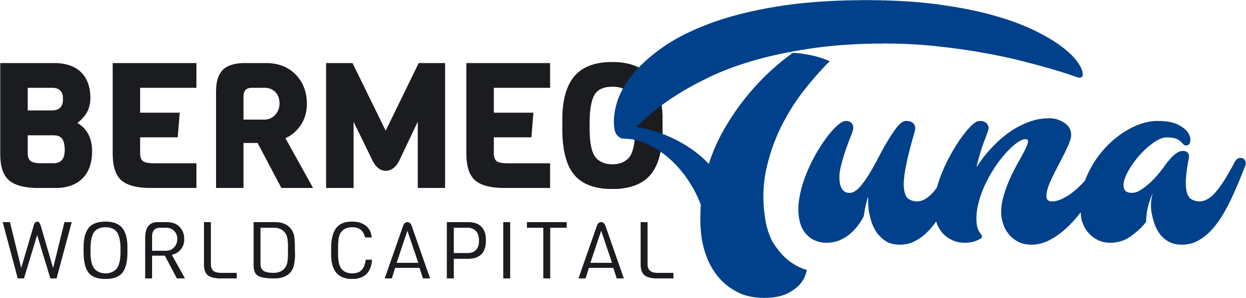 ocean commitment banner