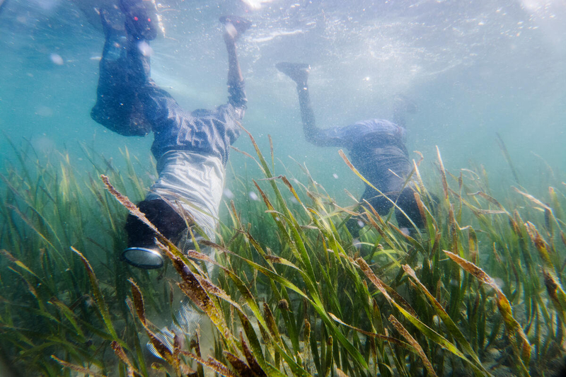 ocean commitment banner
