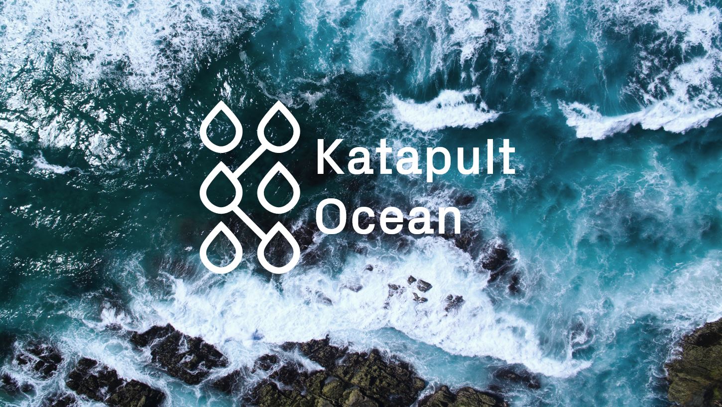 ocean commitment banner