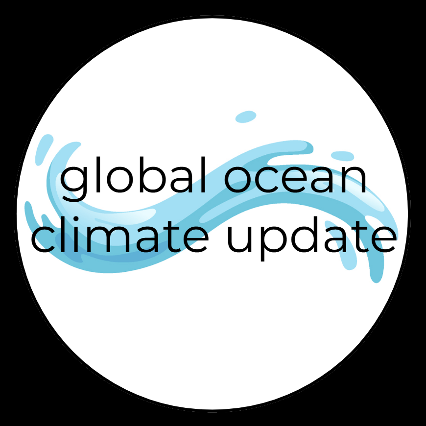 ocean commitment banner