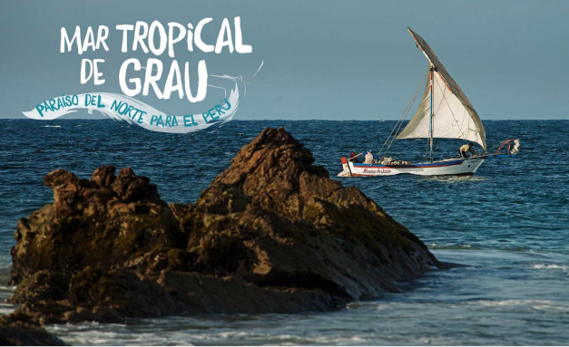 ocean commitment banner