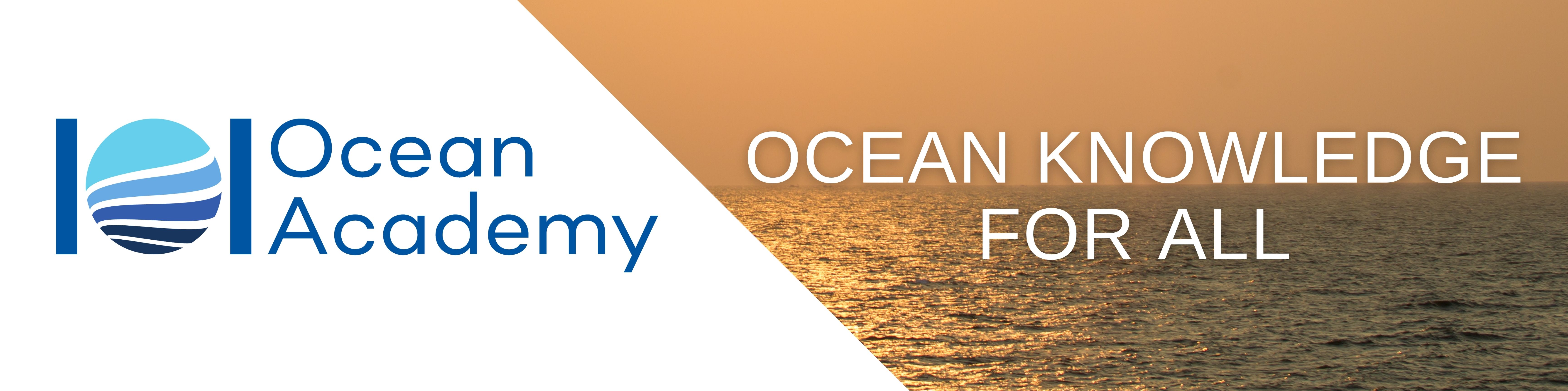 ocean commitment banner