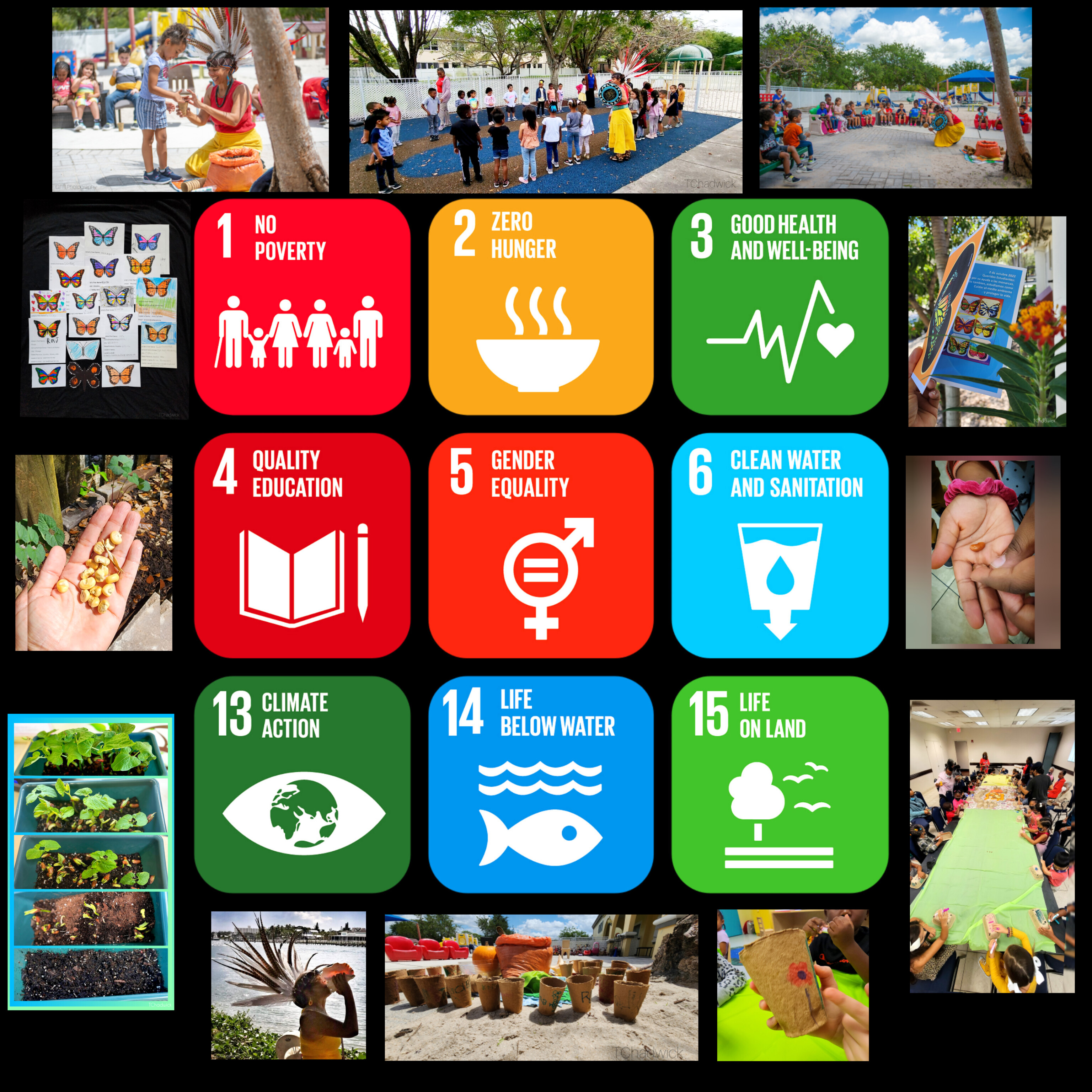 Graphic image for #SDGAction49893 shows nine Sustainable Development Goal icons surrounded by photo images of elders and youth engaged in various activities related to seed planting. 